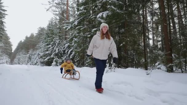 Famiglia felice nella foresta innevata nel fine settimana, la madre sta tirando slitta con bambino, donna e bambino — Video Stock