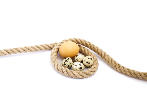 Eggs in a rope — Stock Photo, Image