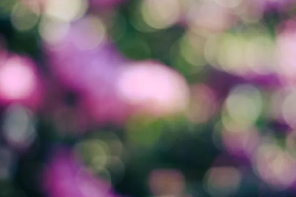 추상 산만된 꽃 — 스톡 사진