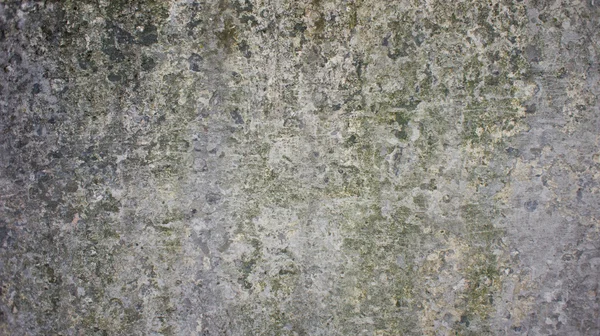 Graue alte Betonmauer — Stockfoto