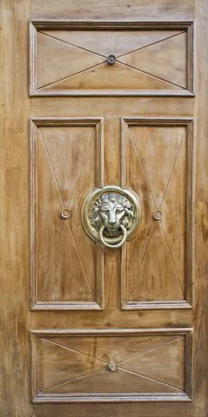 Door with ancient style carved lion head knocker — Stock Photo, Image