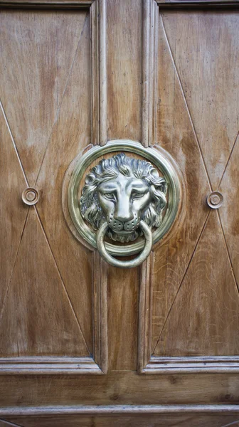 Door with ancient style carved lion head knocker — Stock Photo, Image