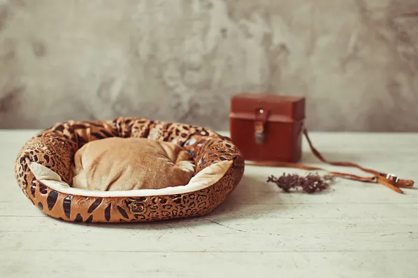 Lugar de mascota marrón en el interior — Foto de Stock