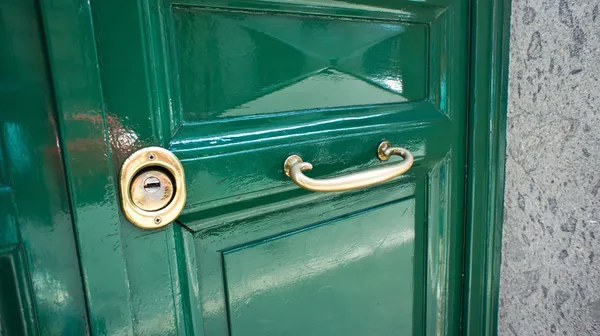 Metal handle on green door — Stock Photo, Image