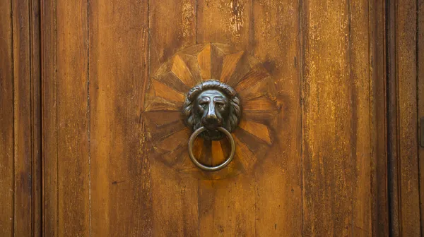 Door with ancient style carved lion head knocker — Stock Photo, Image