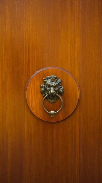 Vertical wooden door with knocker — Stock Photo, Image