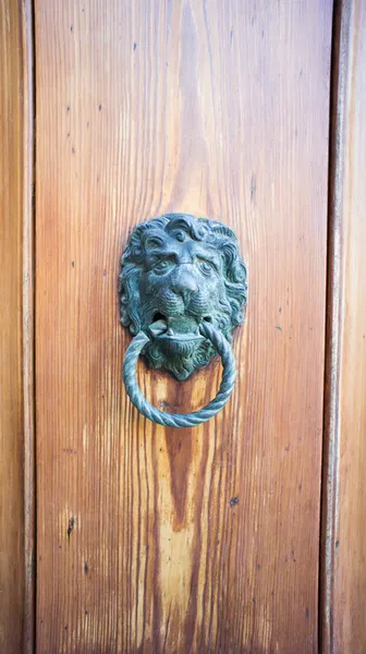 Vertical wooden door with knocker — Stock Photo, Image