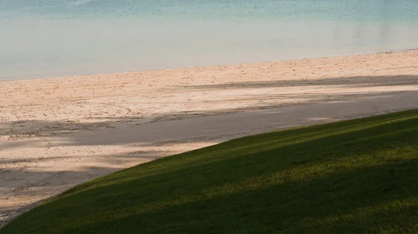 Grass, beach and sea — Stock Photo, Image