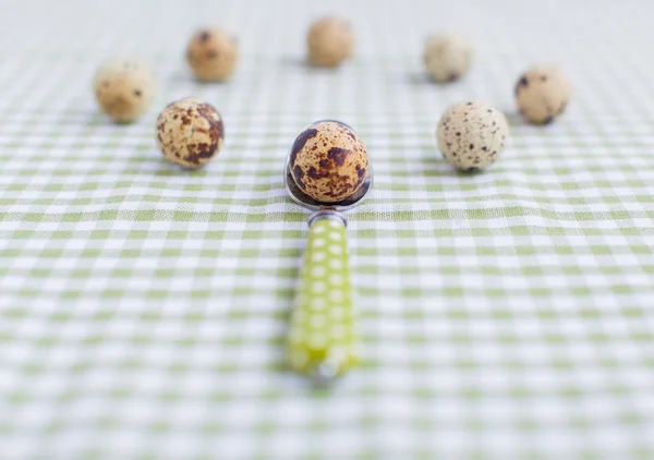 Huevos de cerca — Foto de Stock