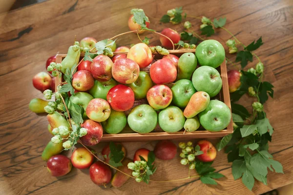 Manzanas rojas verdes con follaje verde en una caja de madera sobre la mesa — Foto de Stock