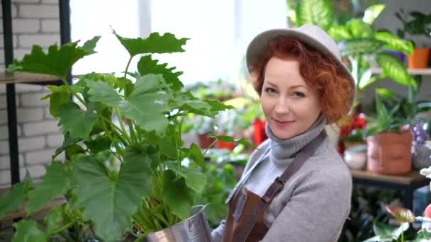 Florista pelirroja en delantal en sombrero sosteniendo flor grande en maceta — Vídeos de Stock