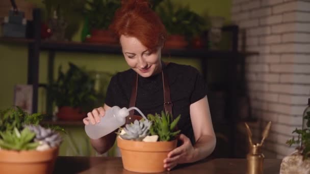 Φροντίζω τα παχύφυτα. Γυναίκα ανθοπωλείο πότισμα φυτά — Αρχείο Βίντεο