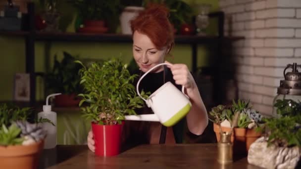Florist watering plants using watering can in greenhouse — Wideo stockowe