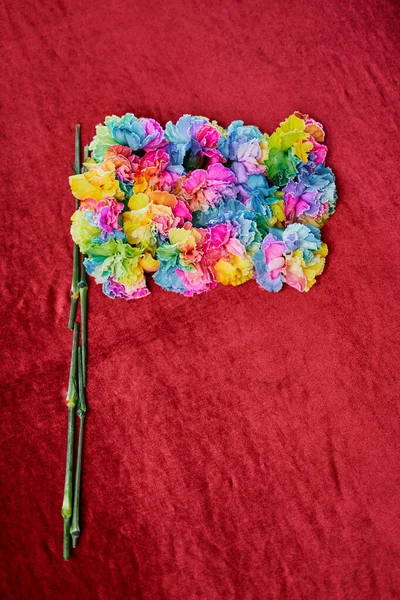 Прапор з красивих різнокольорових гвоздичних квітів — стокове фото