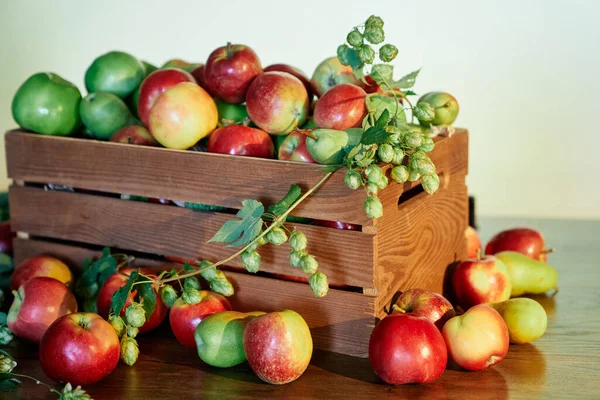 Freshly harvested apples in wooden box. Autumn concept — Foto de Stock