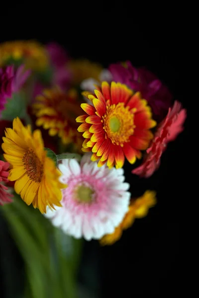 Closeup yellow, red and pink-white gerbera flowers in a vase —  Fotos de Stock