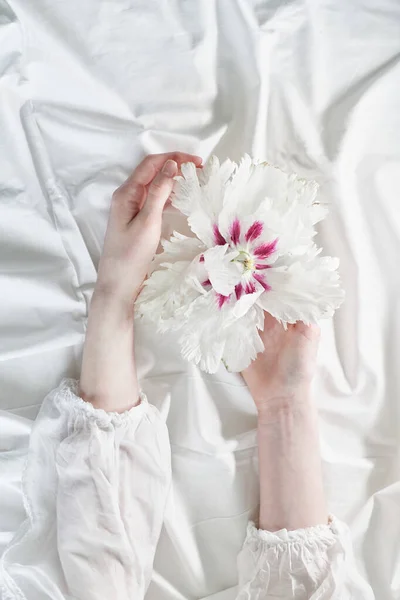 Spring aesthetics concept: hands holding white-pink flower — стоковое фото