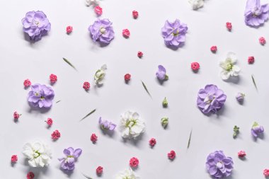 Beyaz kumaş, bebek kıyafetleri, arka plan, tekstil, ambalaj kağıdı ve çiçek başları ve taç yapraklarından yapılmış diğer süslemeler için beyaz bitkisel arka plan. Yüksek kaliteli yatay fotoğraf