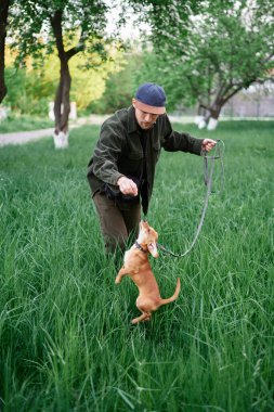 Dog training concept. Attractive caucasian man in baseball cap standing on a grass in park and dachshund puppy jumps up. Young male with dachshund outdoors. High quality image