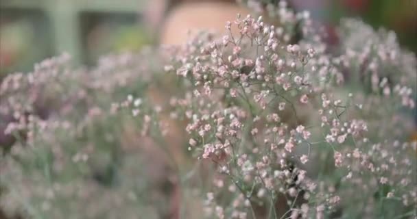 Portrét Pozitivního Bělocha Brýlích Skrývající Jarní Květinovou Kytici Den Matek — Stock video