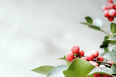 Noel arkaplanı