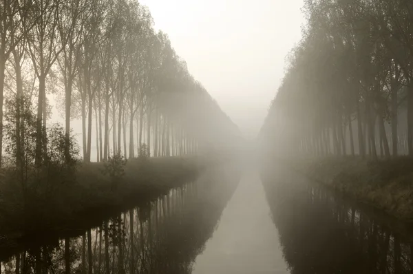 Sisli canal — Stok fotoğraf