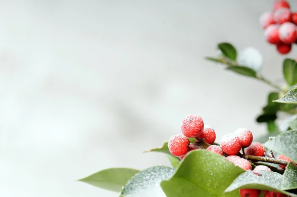 Fundo de Natal — Fotografia de Stock