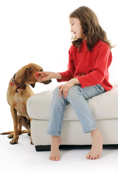 Meisje met hond — Stockfoto