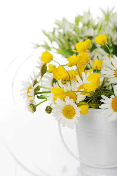 Schöne Blumen — Stockfoto