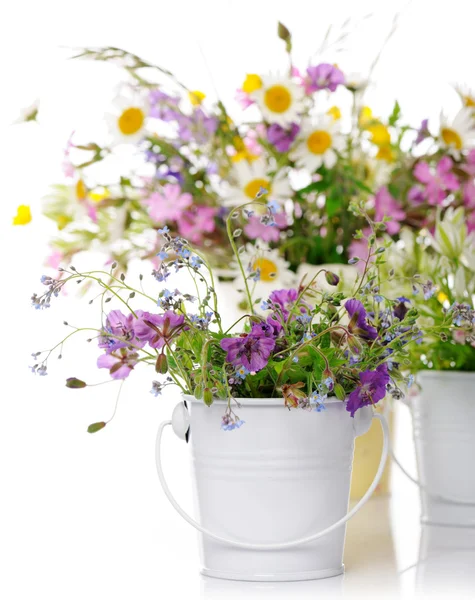 Hermosas flores — Foto de Stock