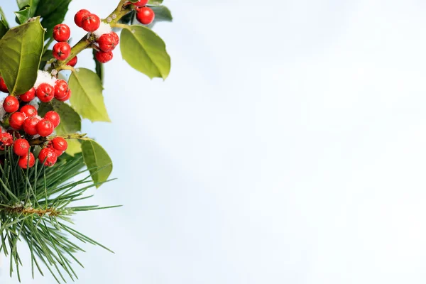 Vinter bakgrund — Stockfoto