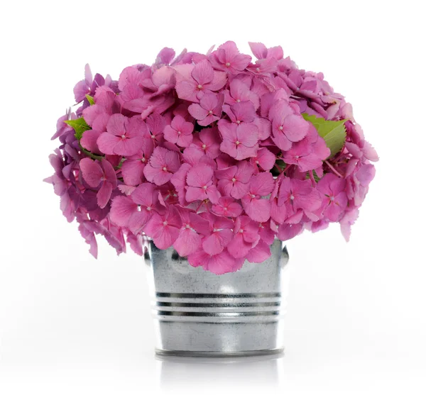 Bouquet di ortensia — Foto Stock
