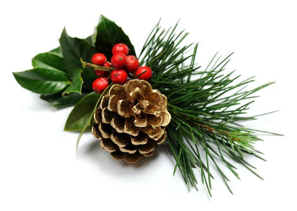 Christmas decoration — Stock Photo, Image