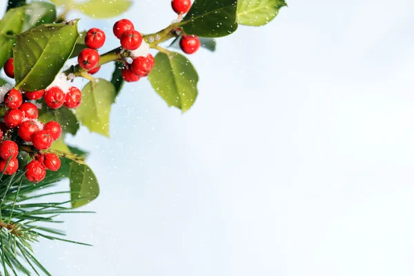 Vinter bakgrund — Stockfoto