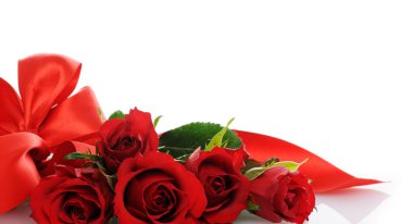 Kırmızı güller