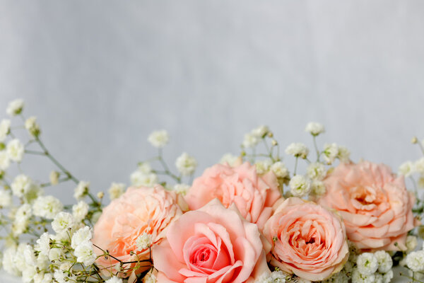Beautiful roses