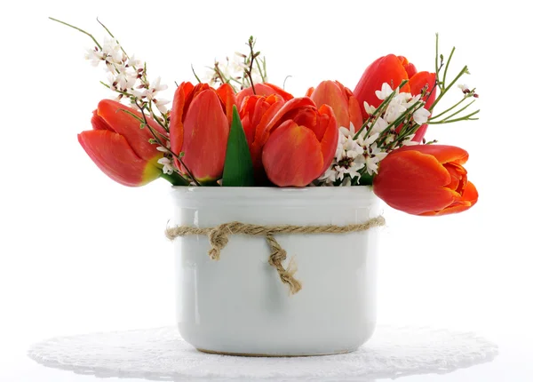 Red tulips — Stock Photo, Image