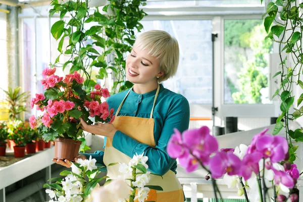 Cheerful florist — Stock Photo, Image