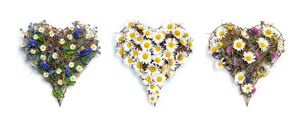 Floral hearts — Stock Photo, Image