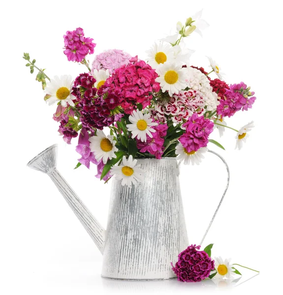 Beautiful summer bouquet — Stock Photo, Image