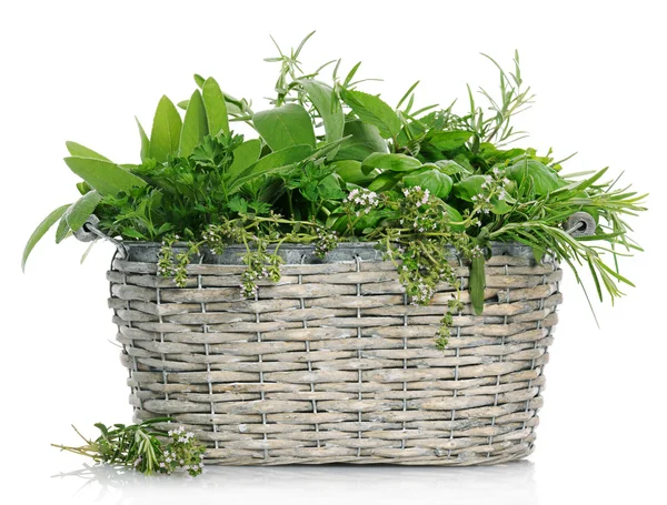 Basket with herbs — Stock Photo, Image