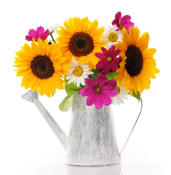 Zomer boeket — Stockfoto