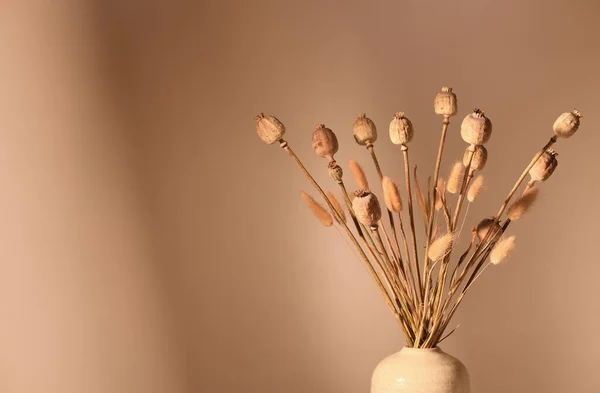 Vaas Met Gedroogde Planten Bruine Tinten — Stockfoto