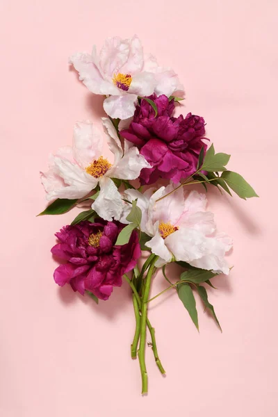 분홍색 배경에 아름다운 자줏빛 꽃다발을 이루고 — 스톡 사진