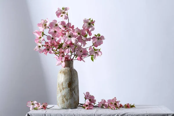 Váza Gyönyörű Cornus Florida Virágok — Stock Fotó