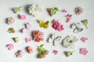 Güzel çiçeklerin ve kelebeklerin dizilişi