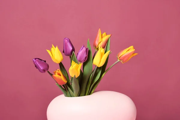 Bouquet Belles Tulipes Multicolores — Photo