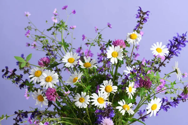 Schöner Sommerstrauß Aus Wildblumen — Stockfoto