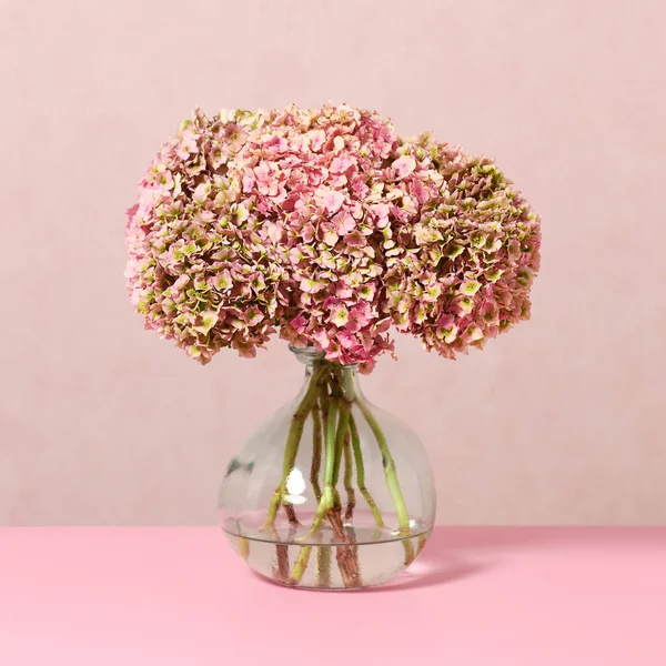 Vase Beautiful Pastel Colored Hydrangea Flowers — Stockfoto