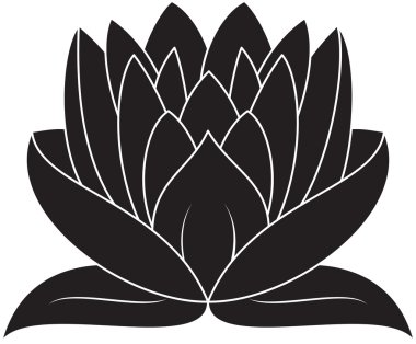 Lotus çiçeği.
